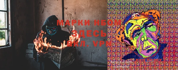 дурь Верея